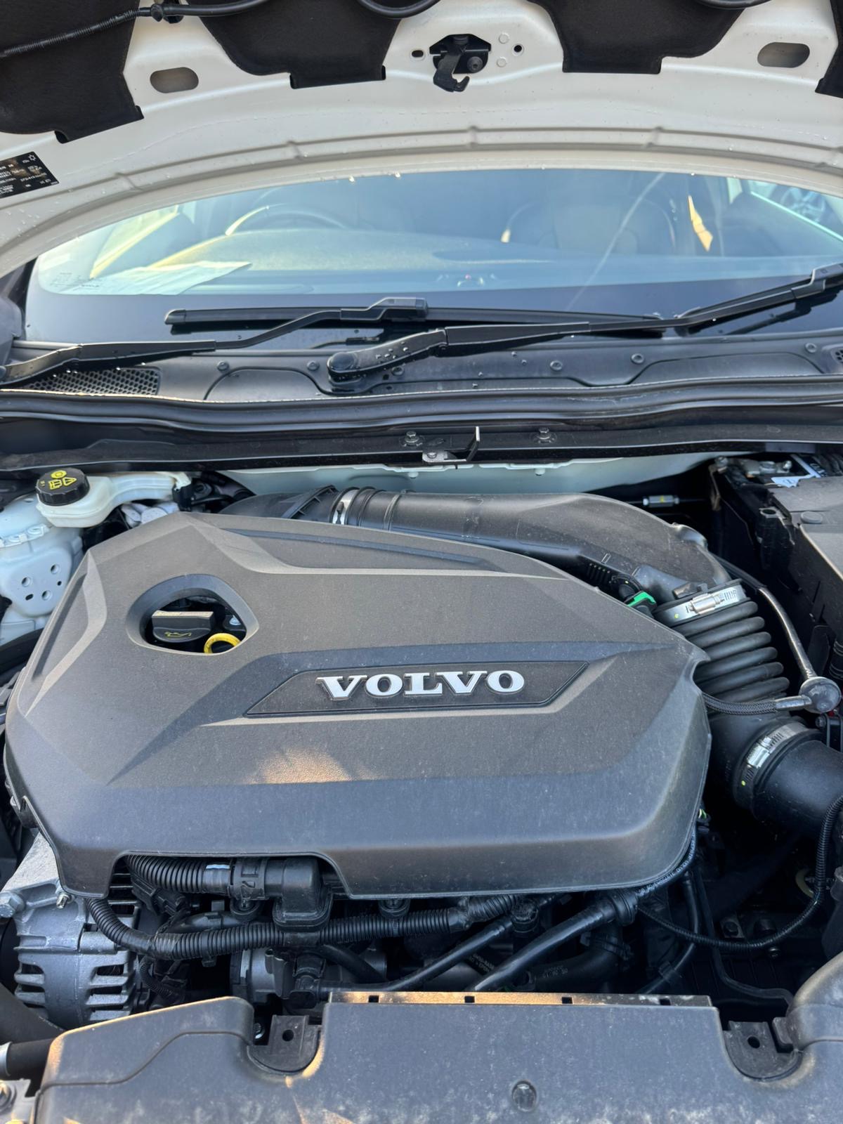 0c54c2a1-6533-4176-94ef-ee76069b3492