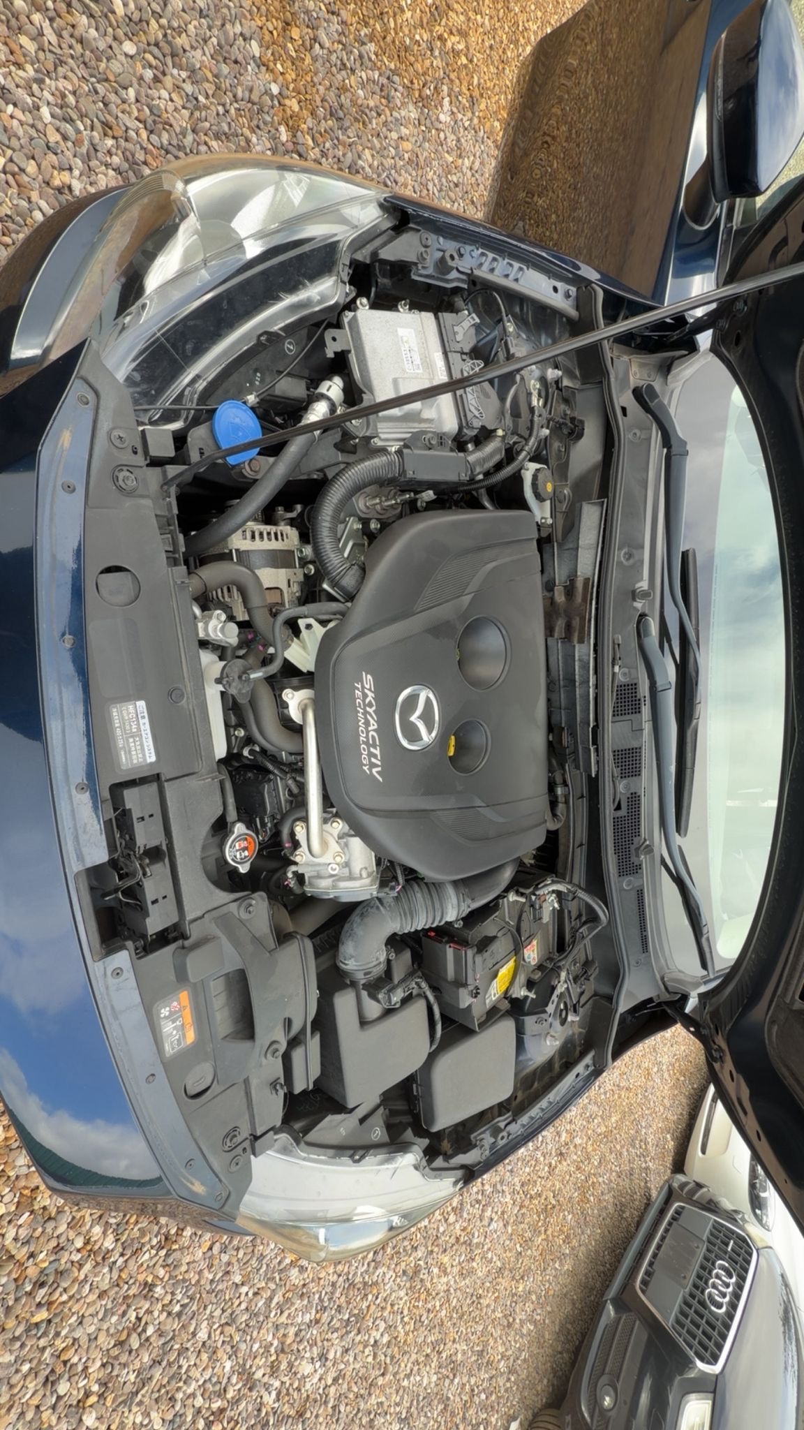 0c9e0ee8-c962-4049-9fea-24b4eb52465e